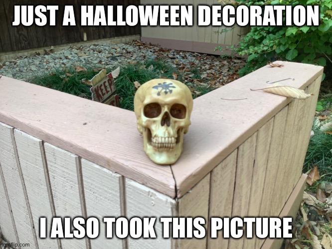 JUST A HALLOWEEN DECORATION; I ALSO TOOK THIS PICTURE | image tagged in holloween | made w/ Imgflip meme maker