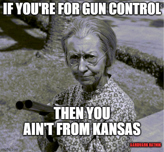 Granny's Shotgun |  IF YOU'RE FOR GUN CONTROL; THEN YOU AIN'T FROM KANSAS; AARDVARK RATNIK | image tagged in granny shotgun,beverly hillbillies,gun control,politics,funny meme | made w/ Imgflip meme maker