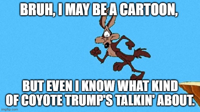wiley coyote | BRUH, I MAY BE A CARTOON, BUT EVEN I KNOW WHAT KIND OF COYOTE TRUMP'S TALKIN' ABOUT. | image tagged in wiley coyote | made w/ Imgflip meme maker