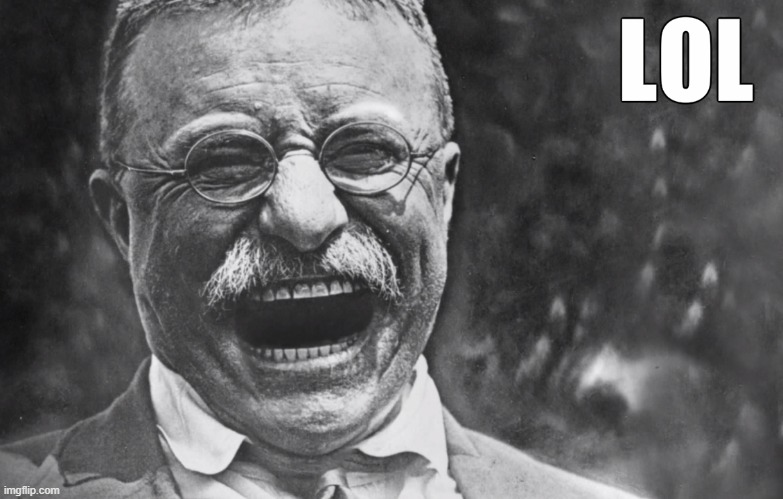 Teddy Roosevelt lol | image tagged in teddy roosevelt lol | made w/ Imgflip meme maker