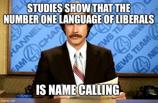 100% real not sarcastic | STUDIES SHOW THAT THE NUMBER ONE LANGUAGE OF LIBERALS; IS NAME CALLING | image tagged in breaking news,politics,liberals | made w/ Imgflip meme maker