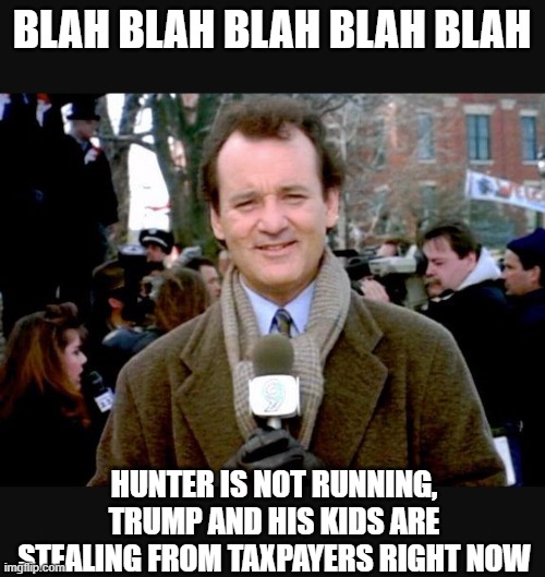 Groundhog Day blah | BLAH BLAH BLAH BLAH BLAH HUNTER IS NOT RUNNING, TRUMP AND HIS KIDS ARE STEALING FROM TAXPAYERS RIGHT NOW | image tagged in groundhog day blah | made w/ Imgflip meme maker