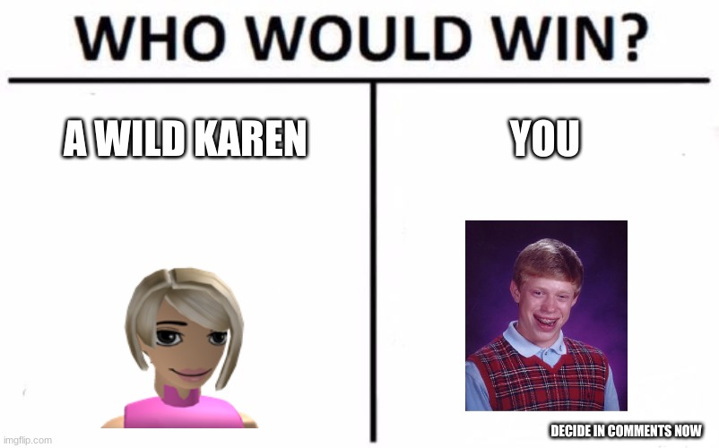 Who Would Win? | A WILD KAREN; YOU; DECIDE IN COMMENTS NOW | image tagged in memes,who would win | made w/ Imgflip meme maker