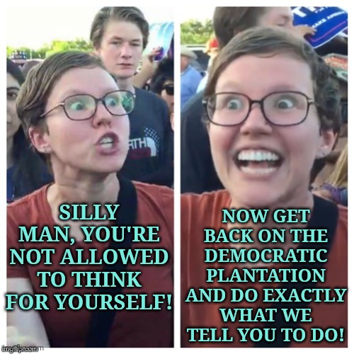 SJW Hypocrisy | SILLY MAN, YOU'RE NOT ALLOWED TO THINK FOR YOURSELF! NOW GET BACK ON THE DEMOCRATIC PLANTATION AND DO EXACTLY WHAT WE TELL YOU TO DO! | image tagged in sjw hypocrisy | made w/ Imgflip meme maker