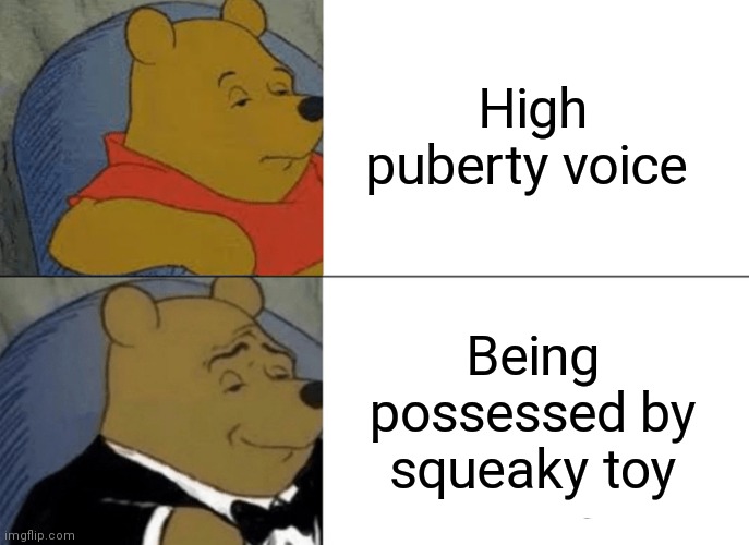 I hate puberty | High puberty voice; Being possessed by squeaky toy | image tagged in memes,tuxedo winnie the pooh,puberty,squeaky toy | made w/ Imgflip meme maker