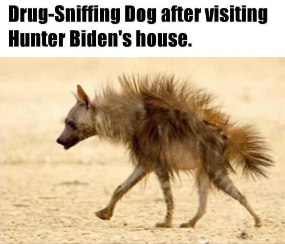 Drug Sniffing K-9 after visiting Hunter Biden's house | image tagged in mind blown,hunter biden,drug addiction,poor doggie,wheres hunter,wired terrier | made w/ Imgflip meme maker