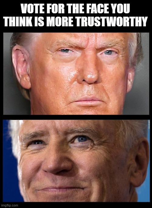 A picture is worth a thousand words | VOTE FOR THE FACE YOU THINK IS MORE TRUSTWORTHY | image tagged in donald trump,joe biden,election 2020,trustworthy,integrity,vote | made w/ Imgflip meme maker