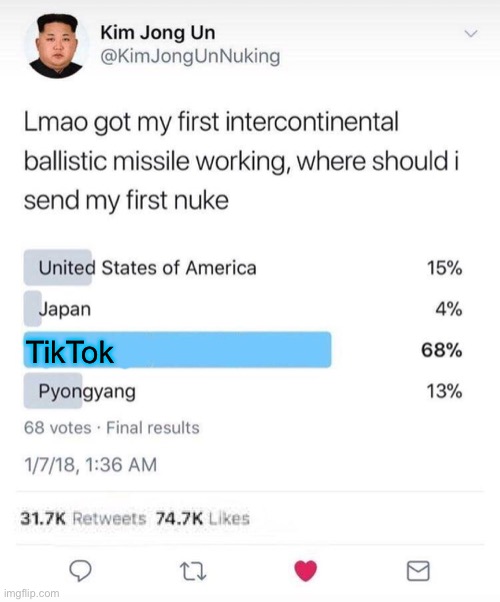 YESSS do it NOW | TikTok | image tagged in tiktok,is,gonna,be,nuked,by kim jong un | made w/ Imgflip meme maker