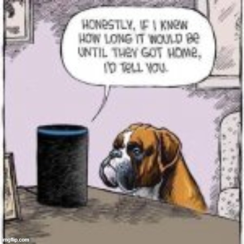 Dogs | image tagged in dog memes,dogs,mans best friend | made w/ Imgflip meme maker