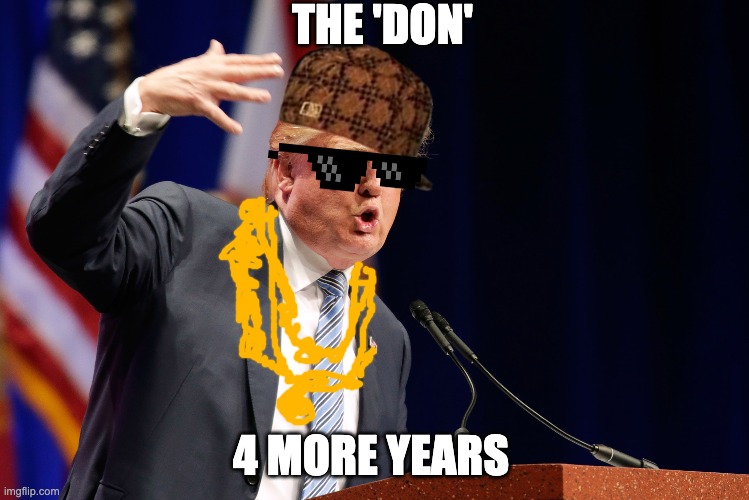 The Don | THE 'DON'; 4 MORE YEARS | image tagged in djt potus trump2020 | made w/ Imgflip meme maker