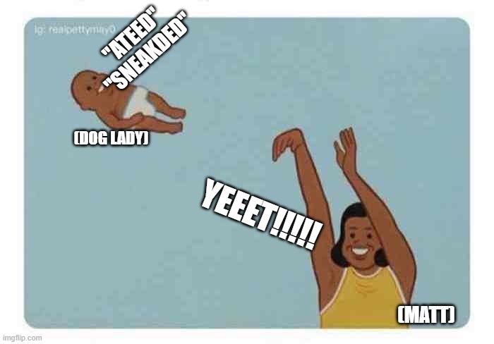 mom throwing baby | "ATEED"
"SNEAKDED"; (DOG LADY); YEEET!!!!! (MATT) | image tagged in mom throwing baby | made w/ Imgflip meme maker
