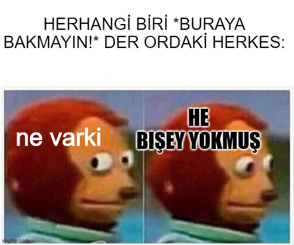 Monkey Puppet Meme | HERHANGİ BİRİ *BURAYA BAKMAYIN!* DER ORDAKİ HERKES:; HE BIŞEY YOKMUŞ; ne varki | image tagged in memes,monkey puppet | made w/ Imgflip meme maker