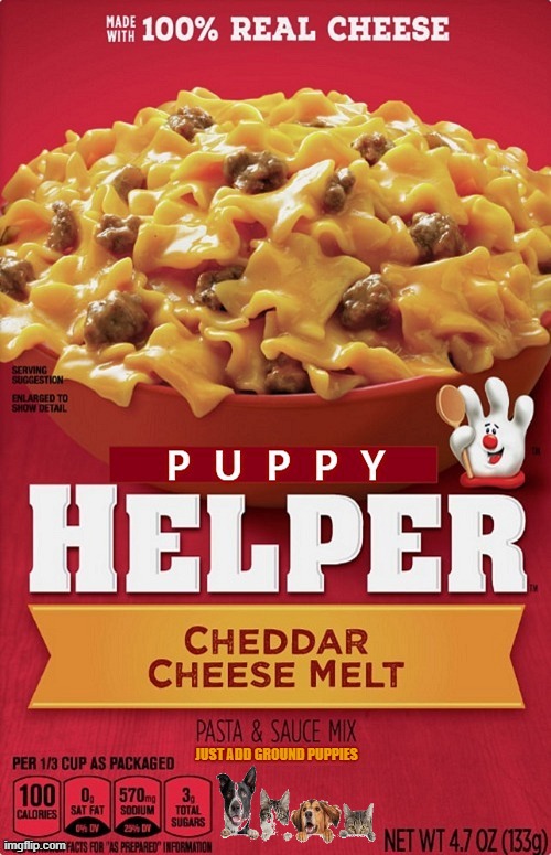 Puppy Helper or Try Our New Kitten Helper Made With 100% Real Cheese. | image tagged in puppy helper memes,made with real cheese,just add puupies or try new kitten helper | made w/ Imgflip meme maker