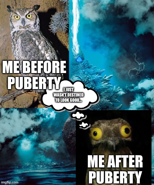 Idk why I made the background Godzilla... the pandemic did that to me... | ME BEFORE PUBERTY; I JUST WASN'T DESTINED TO LOOK GOOD... ME AFTER PUBERTY | image tagged in memes | made w/ Imgflip meme maker