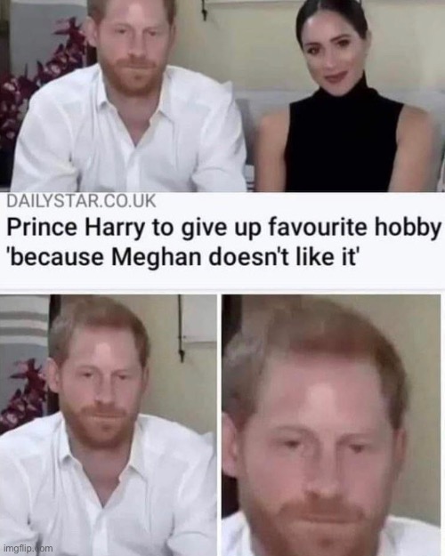 Never gonna give you up | image tagged in funny,memes,funny memes,prince harry,meghan markle,never gonna give you up | made w/ Imgflip meme maker