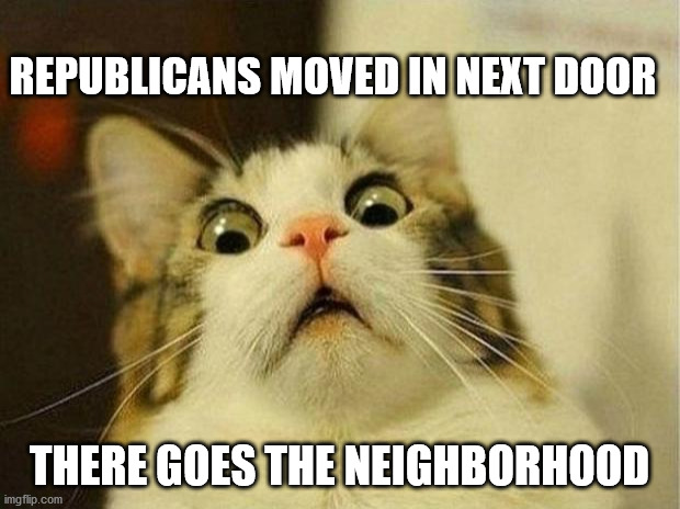 Scared Cat Meme | REPUBLICANS MOVED IN NEXT DOOR; THERE GOES THE NEIGHBORHOOD | image tagged in memes,scared cat | made w/ Imgflip meme maker
