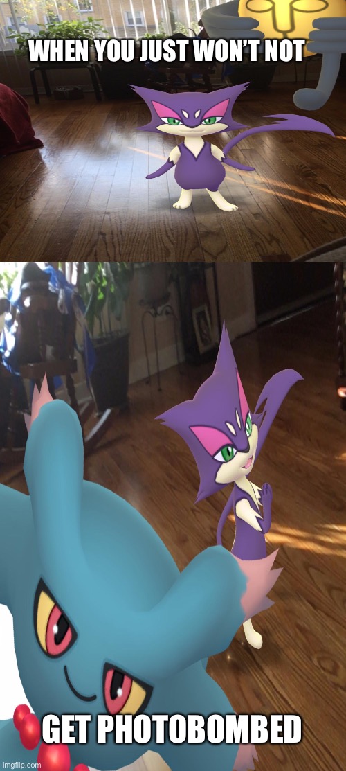 It is time to say dings with Pokémon go | WHEN YOU JUST WON’T NOT; GET PHOTOBOMBED | image tagged in pokemon go,it is what it is | made w/ Imgflip meme maker