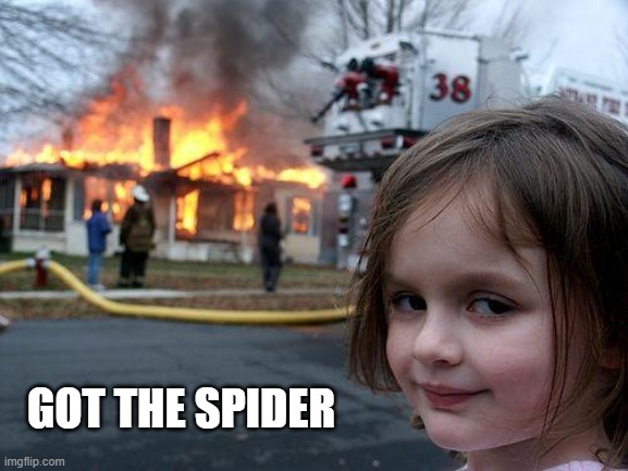 Disaster Girl | GOT THE SPIDER | image tagged in memes,disaster girl | made w/ Imgflip meme maker