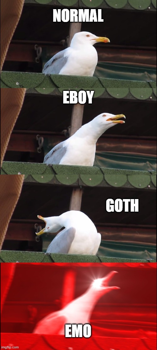 Inhaling Seagull Meme | NORMAL; EBOY; GOTH; EMO | image tagged in memes,inhaling seagull | made w/ Imgflip meme maker