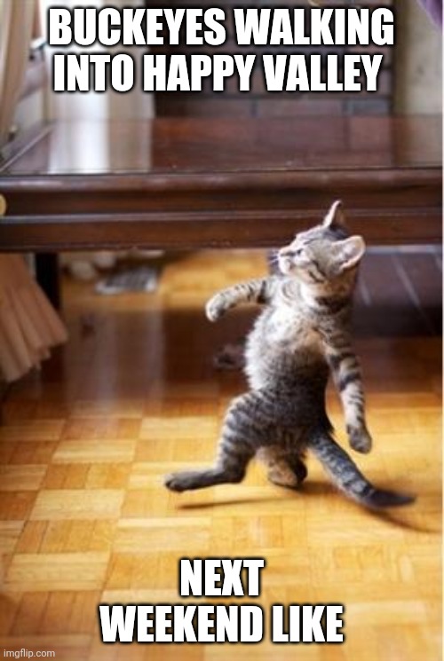 Walking Cat | BUCKEYES WALKING INTO HAPPY VALLEY; NEXT WEEKEND LIKE | image tagged in walking cat | made w/ Imgflip meme maker