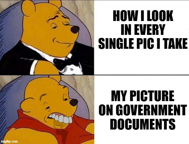 Its true. | HOW I LOOK IN EVERY SINGLE PIC I TAKE; MY PICTURE ON GOVERNMENT DOCUMENTS | image tagged in tuxedo winnie the pooh grossed reverse | made w/ Imgflip meme maker