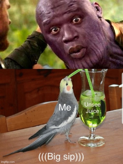 Excuse me | image tagged in unsee juice | made w/ Imgflip meme maker