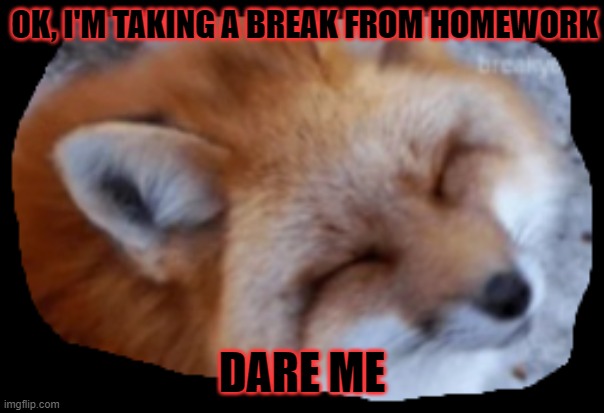 no regrets | OK, I'M TAKING A BREAK FROM HOMEWORK; DARE ME | image tagged in i dare you | made w/ Imgflip meme maker