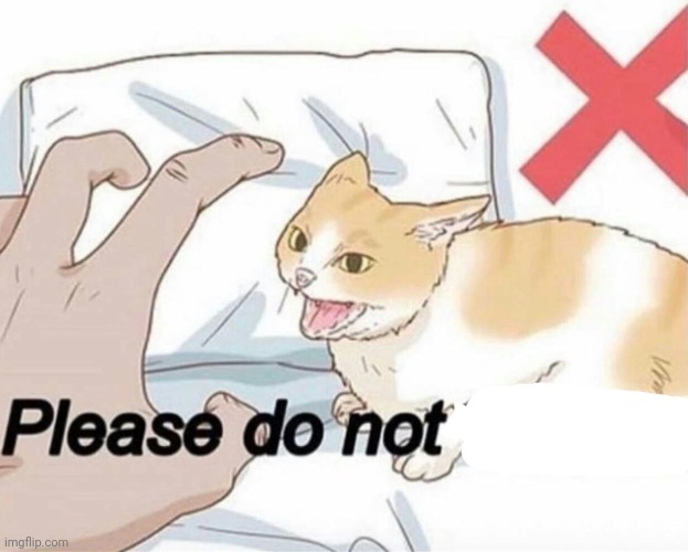 Please do not the cat | image tagged in please do not the cat | made w/ Imgflip meme maker