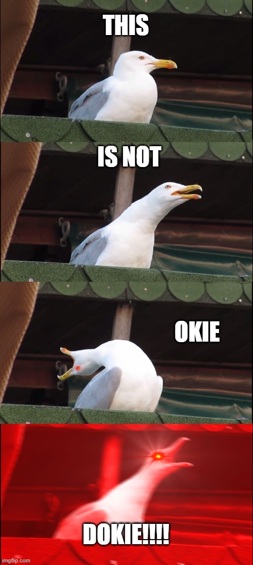 SEAGULLS DONT PLAY AROUND ANYMORE WHEN THINGS GET NOT OKIE DOKIE | THIS; IS NOT; OKIE; DOKIE!!!! | image tagged in memes,inhaling seagull,smg4 | made w/ Imgflip meme maker