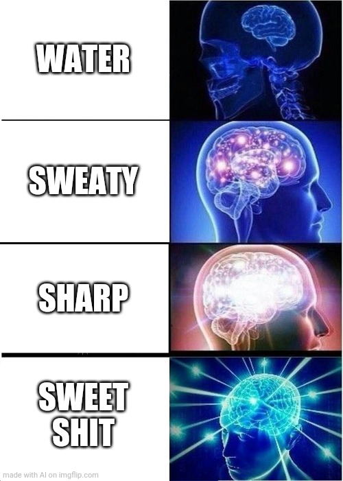 Sweet shit | WATER; SWEATY; SHARP; SWEET SHIT | image tagged in memes,expanding brain | made w/ Imgflip meme maker