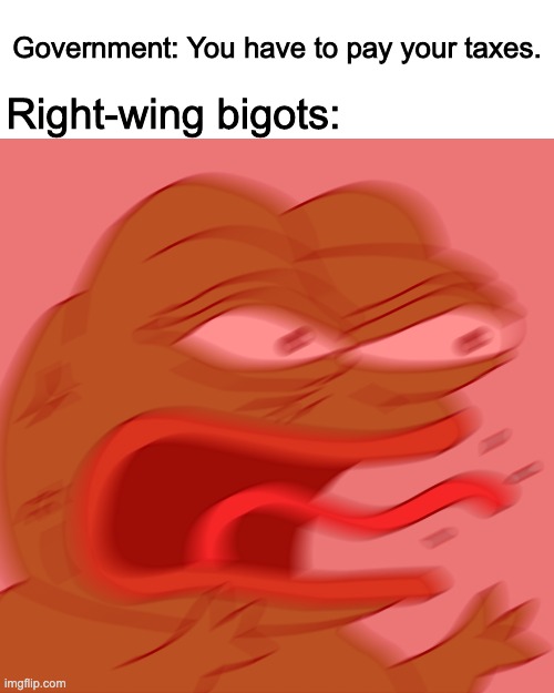Rage Pepe | Government: You have to pay your taxes. Right-wing bigots: | image tagged in rage pepe | made w/ Imgflip meme maker