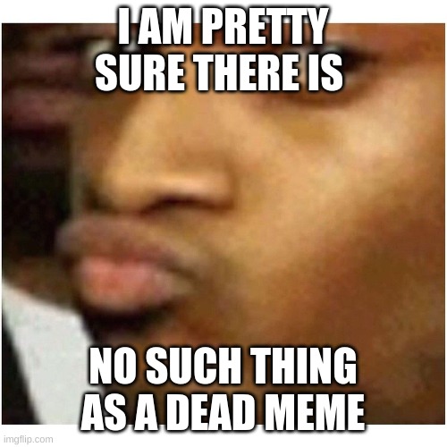 Are you sure ? | I AM PRETTY SURE THERE IS NO SUCH THING AS A DEAD MEME | image tagged in are you sure | made w/ Imgflip meme maker