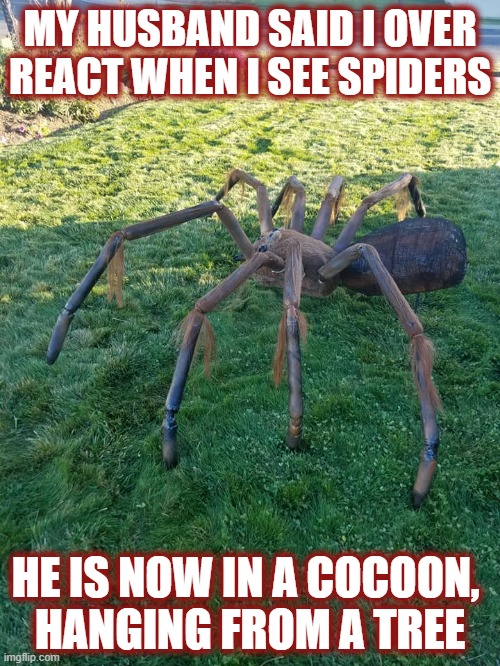When it's Halloween, and you have a large spider in the yard. | MY HUSBAND SAID I OVER REACT WHEN I SEE SPIDERS; HE IS NOW IN A COCOON, 
HANGING FROM A TREE | image tagged in spider,halloween | made w/ Imgflip meme maker