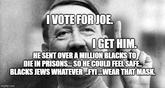 ive got an idea hitler | I VOTE FOR JOE.                                                                   I GET HIM. HE SENT OVER A MILLION BLACKS TO DIE IN PRISONS... SO HE COULD FEEL SAFE..  BLACKS JEWS WHATEVER  ..FYI ...WEAR THAT MASK. | image tagged in ive got an idea hitler | made w/ Imgflip meme maker