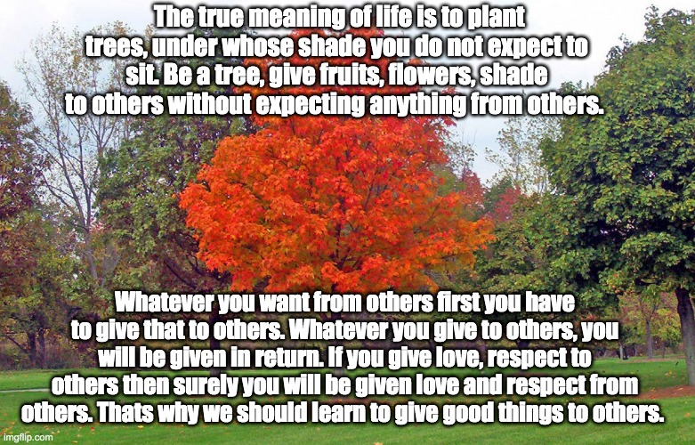 The meaning of life | The true meaning of life is to plant trees, under whose shade you do not expect to sit. Be a tree, give fruits, flowers, shade to others without expecting anything from others. Whatever you want from others first you have to give that to others. Whatever you give to others, you will be given in return. If you give love, respect to others then surely you will be given love and respect from others. Thats why we should learn to give good things to others. | image tagged in life,giving,love,respect | made w/ Imgflip meme maker
