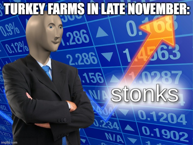 Turkey stonks | TURKEY FARMS IN LATE NOVEMBER: | image tagged in stonks | made w/ Imgflip meme maker