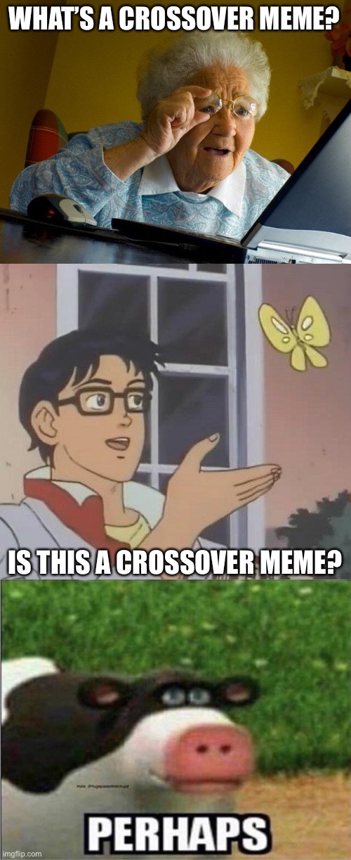 WHAT’S A CROSSOVER MEME? IS THIS A CROSSOVER MEME? | image tagged in memes,grandma finds the internet,is this a pigeon,perhaps cow,crossover memes | made w/ Imgflip meme maker
