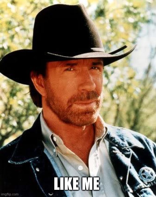 Chuck Norris Meme | LIKE ME | image tagged in memes,chuck norris | made w/ Imgflip meme maker