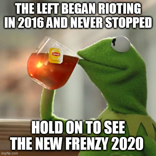 But That's None Of My Business Meme | THE LEFT BEGAN RIOTING IN 2016 AND NEVER STOPPED; HOLD ON TO SEE THE NEW FRENZY 2020 | image tagged in memes,but that's none of my business,kermit the frog | made w/ Imgflip meme maker