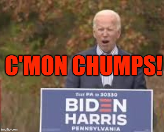 c'mon chumps | C'MON CHUMPS! | image tagged in maga,biden,chumps,trump,supporters | made w/ Imgflip meme maker