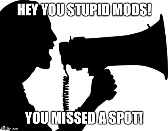 SHOUT OUT | HEY YOU STUPID MODS! YOU MISSED A SPOT! | image tagged in shout out | made w/ Imgflip meme maker