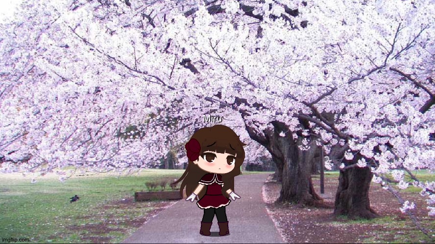 Ask or dare Miru | made w/ Imgflip meme maker