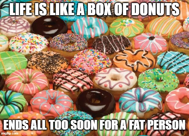 Eat Up | LIFE IS LIKE A BOX OF DONUTS; ENDS ALL TOO SOON FOR A FAT PERSON | image tagged in donuts | made w/ Imgflip meme maker