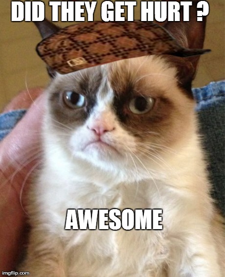 DID THEY GET HURT ? AWESOME | image tagged in memes,grumpy cat | made w/ Imgflip meme maker