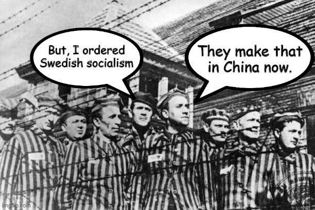 concentration camp | They make that in China now. But, I ordered Swedish socialism | image tagged in concentration camp | made w/ Imgflip meme maker