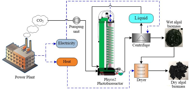 High Quality www.Photobioreactors.com Blank Meme Template