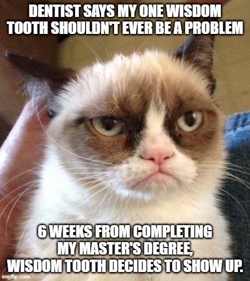 Grumpy Cat Reverse Meme | DENTIST SAYS MY ONE WISDOM TOOTH SHOULDN'T EVER BE A PROBLEM; 6 WEEKS FROM COMPLETING MY MASTER'S DEGREE, WISDOM TOOTH DECIDES TO SHOW UP. | image tagged in memes,grumpy cat reverse,grumpy cat,cats,repost,funny | made w/ Imgflip meme maker