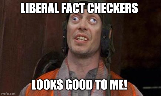 Looks Good To Me | LIBERAL FACT CHECKERS LOOKS GOOD TO ME! | image tagged in looks good to me | made w/ Imgflip meme maker