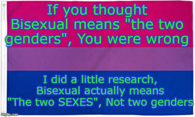 So, Does this mean it's just a more specific version of Pansexual? | If you thought Bisexual means "the two genders", You were wrong; I did a little research, Bisexual actually means "The two SEXES", Not two genders | image tagged in bisexual flag,bisexual,lgbt,lgbtq | made w/ Imgflip meme maker