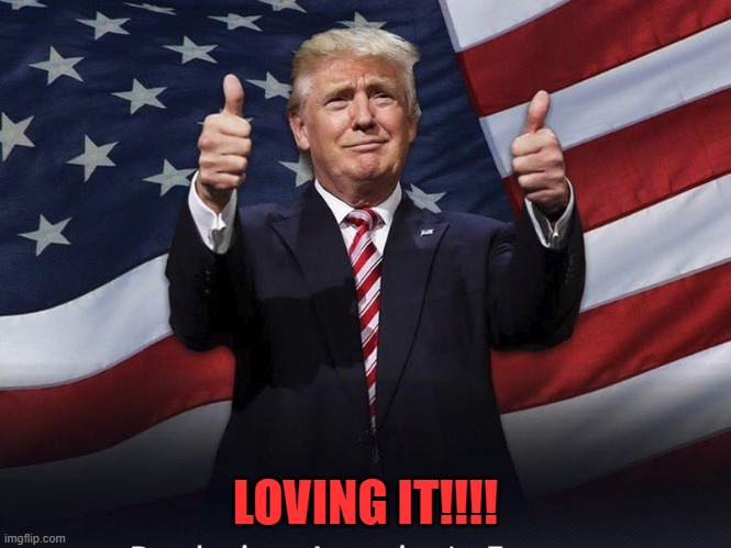 Donald Trump Thumbs Up | LOVING IT!!!! | image tagged in donald trump thumbs up | made w/ Imgflip meme maker